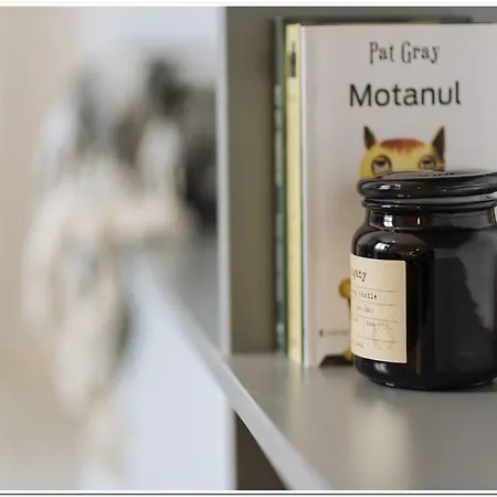 Old Town Cosy Apartmán Bukurešť