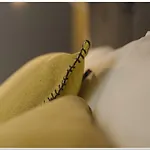 Old Town Cosy * 부쿠레슈티